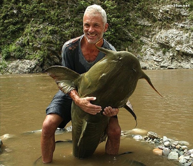 عکس از شکار بزرگترین ماهی ها
