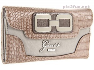 Wallet (Pix2Fun.Net)  (11)