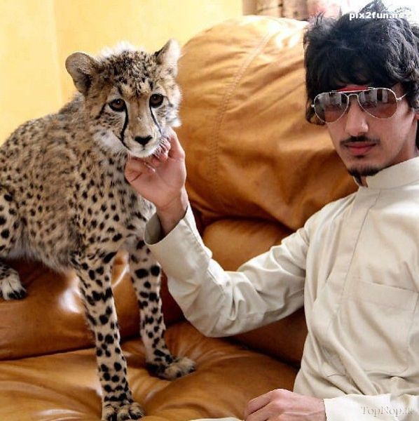 عکس از ثروتمندان