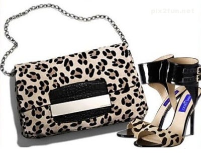زیباترین ست های کیف و کفش 2013