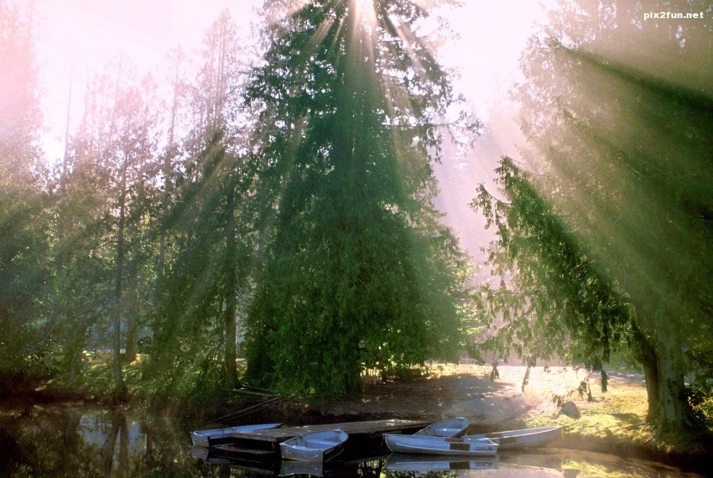 a-promising-morning-seabeck-washington-1024x768