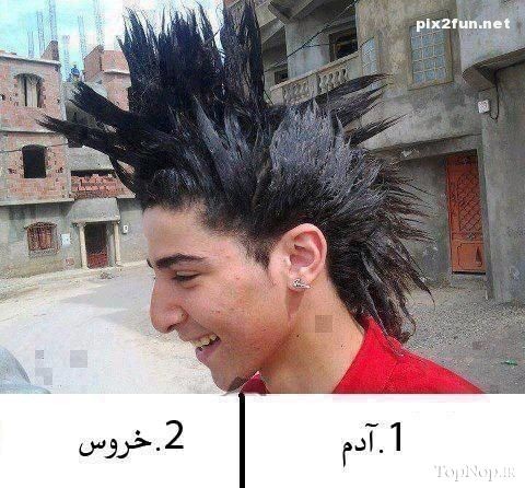 عکس از سوژه های خنده دار وطنی