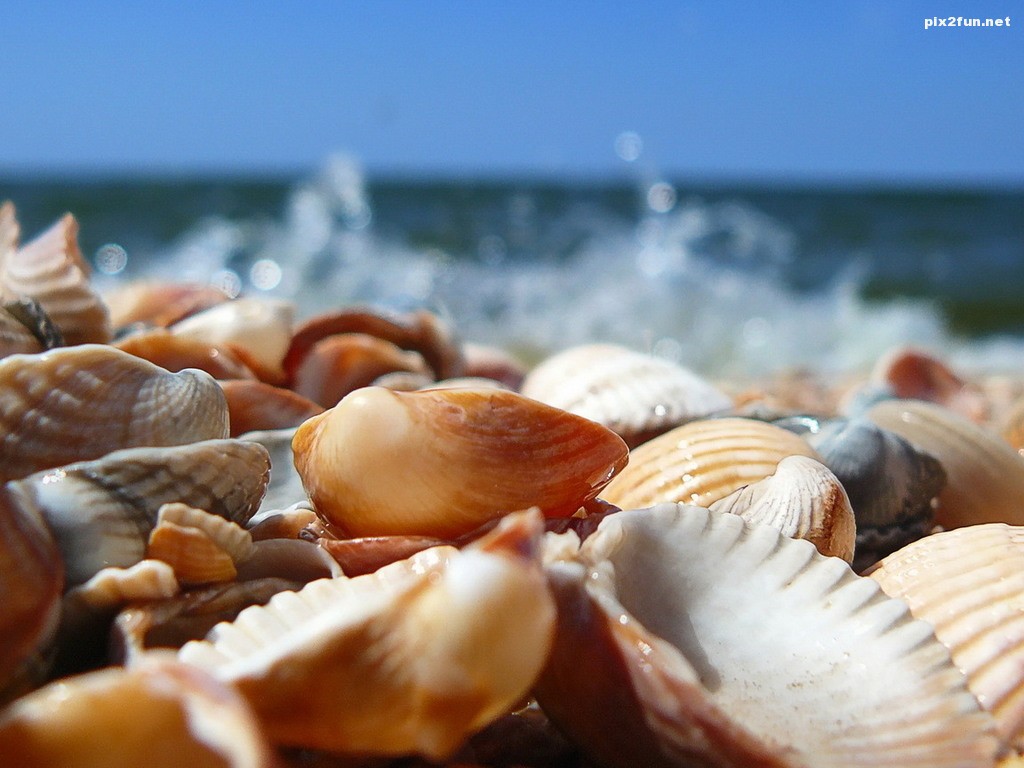 a5a39a134af91556e5c84-1024