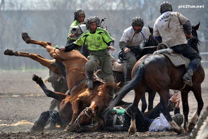 منتخبی از عکس های دیدنی جدید