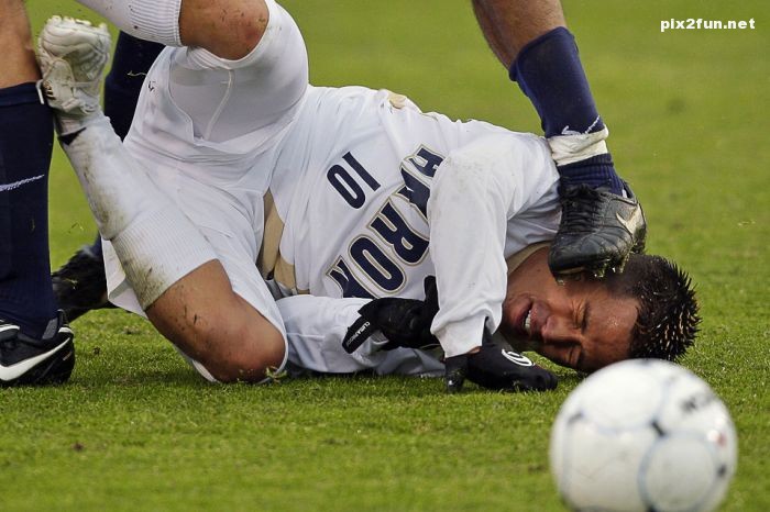 دیدنی ترین عکس ها