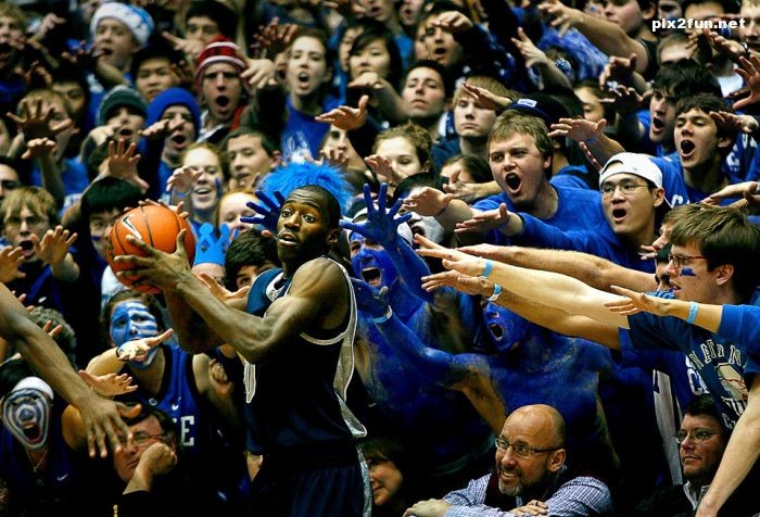 دیدنی ترین عکس ها