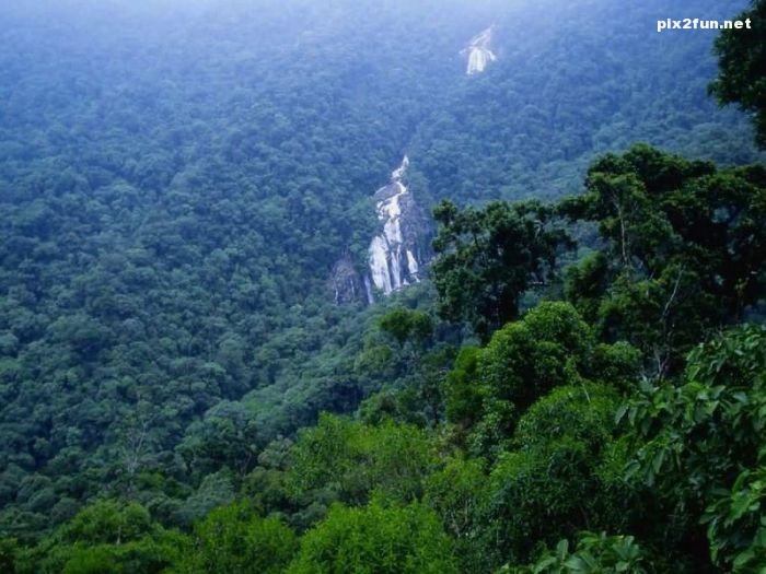 عکس های جدید و زیبا از جنگل آمازون