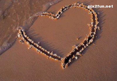 asheghane_motoharek_03