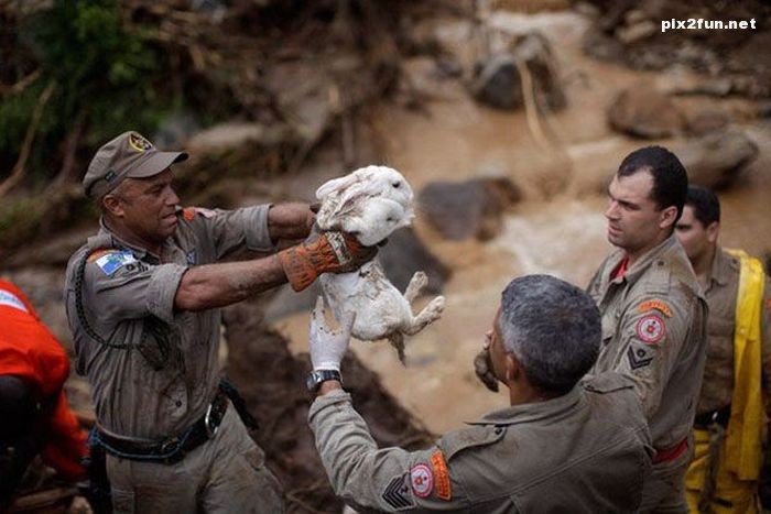 منتخبی از عکس های دیدنی