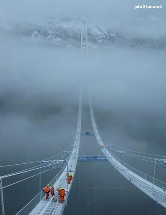 منتخبی از عکس های دیدنی