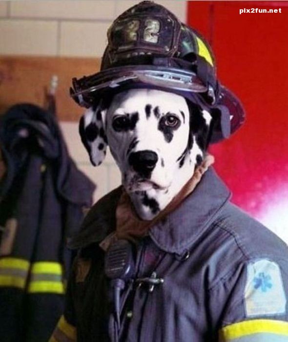 عکس های منتخب دیدنی