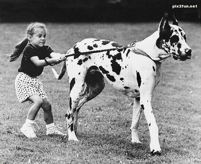 عکس های منتخب دیدنی