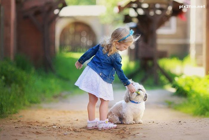 عکس های منتخب دیدنی