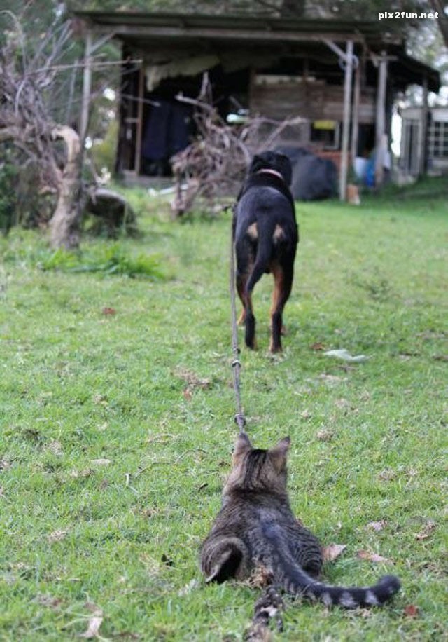 عکس های جدید دیدنی