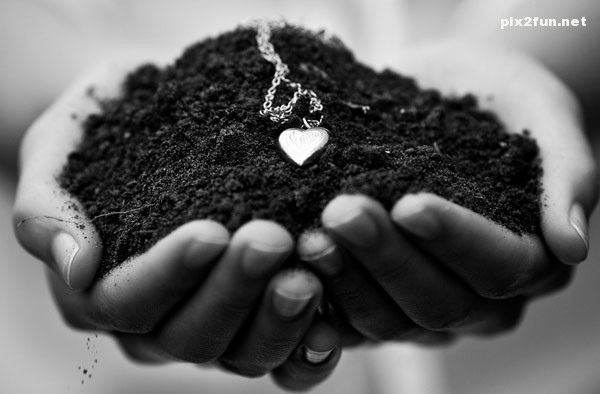 ax_eshgholane_taze_03