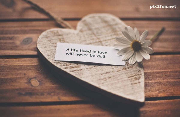 ax_eshgholane_taze_05