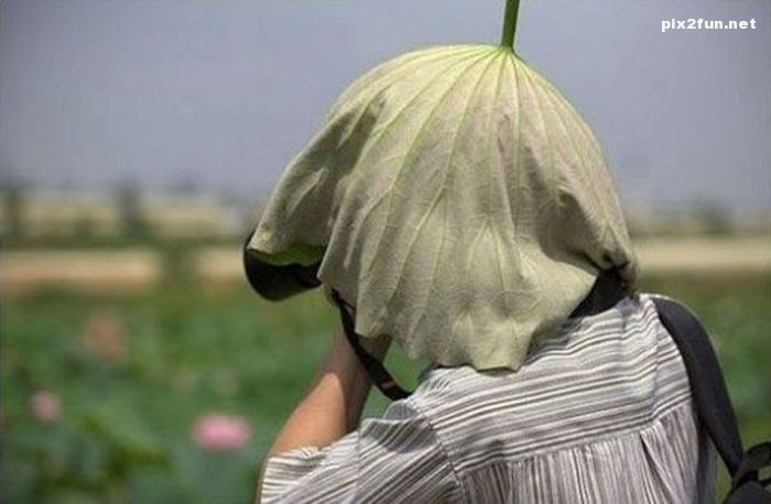 تصاویری از مشکلات شغل عکاسی