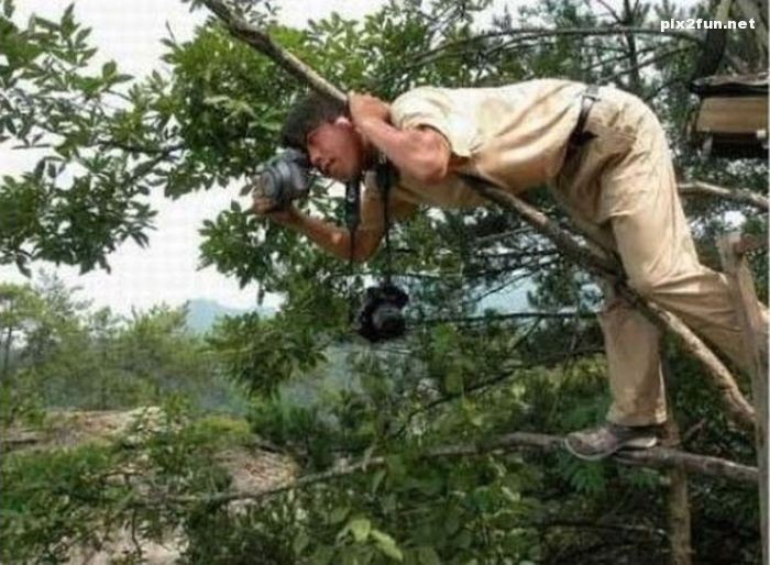 تصاویری از مشکلات شغل عکاسی