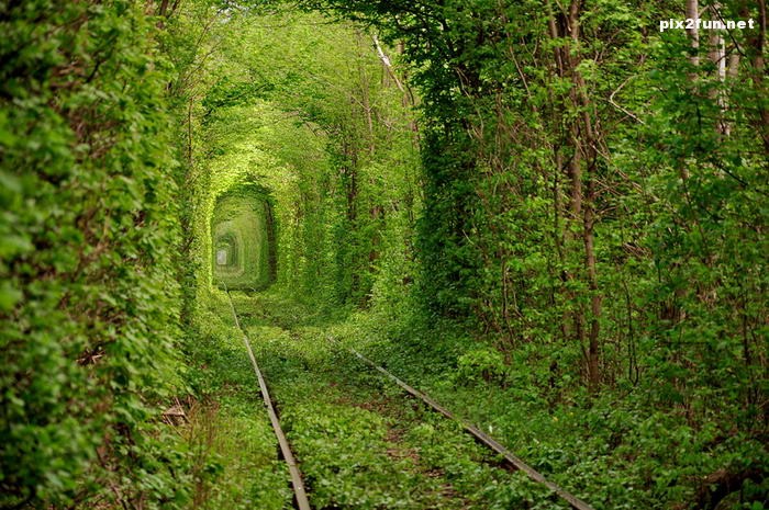 پر بازدیدترین مکان های جهان