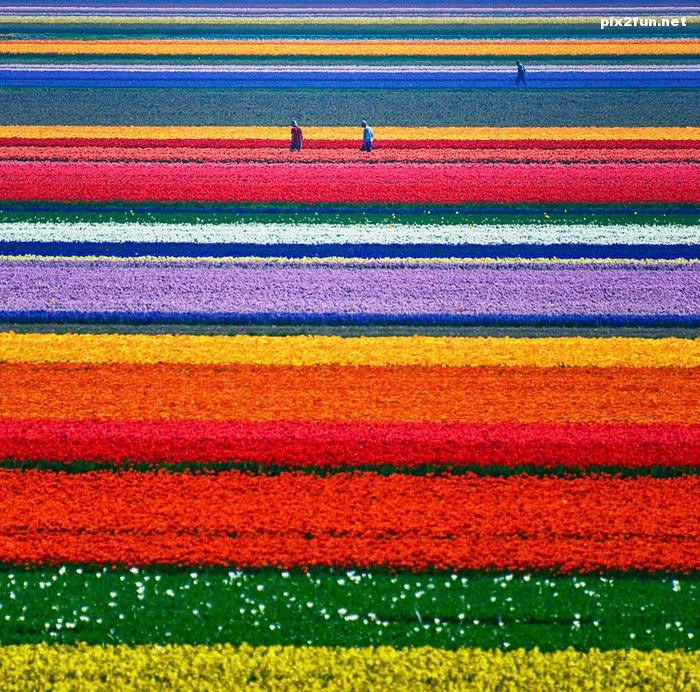 مناظر عجیب ولی واقعی