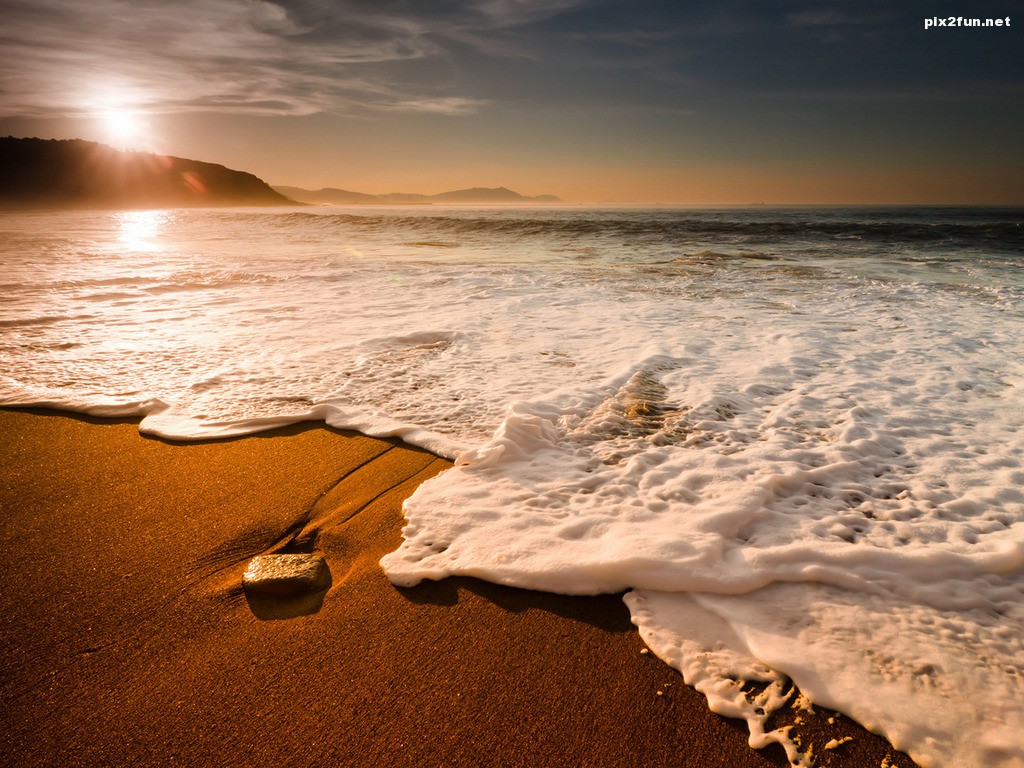 d6fa2e6ecdfc803fb4c95-1024