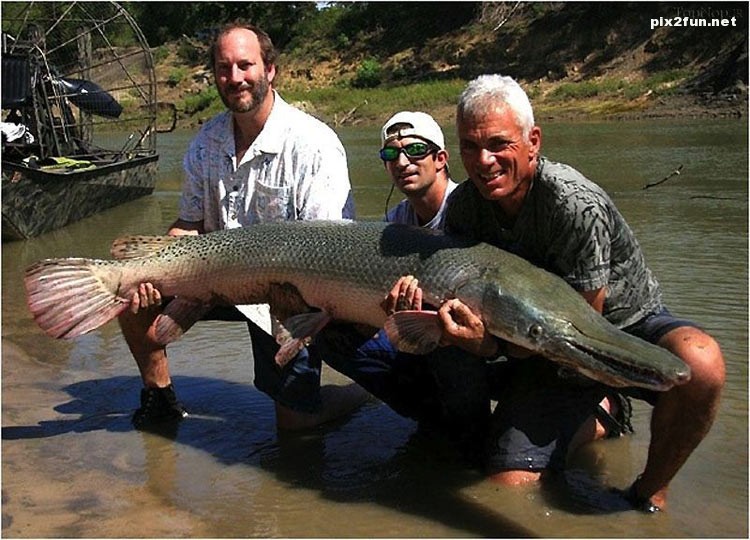 عکس های عجیب از شکار بزرگترین ماهی ها