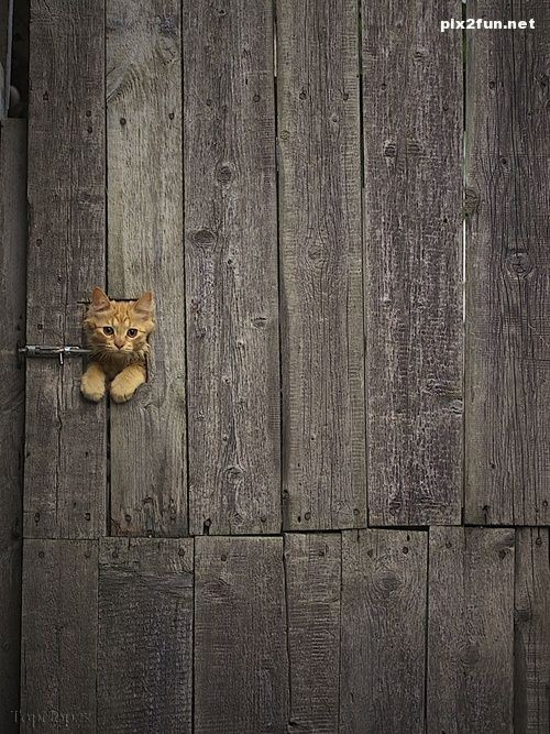 عکس های واقعی از طبیعت