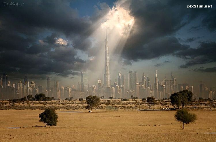 تصاویری از طبیعت واقعی