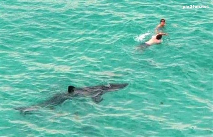 عکس از لحظه های وحشتناک 