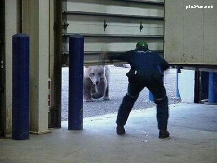 عکس از لحظه های وحشتناک 