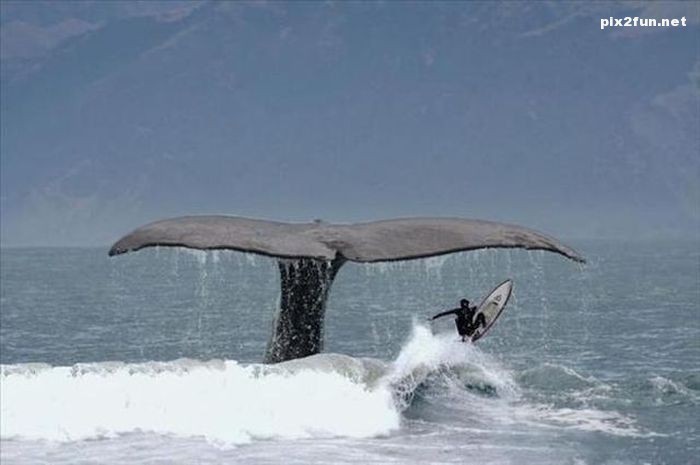 تصاویری از لحظه های خطرناک