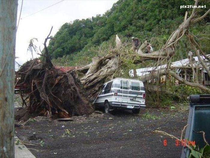 تصاویری از لحظه های خطرناک