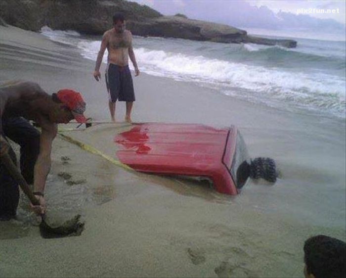 عکس از شکار لحظه ها 