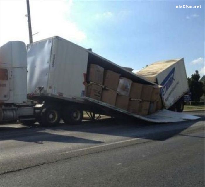 عکس از شکار لحظه ها 