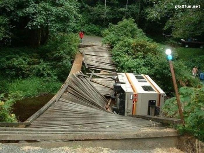 عکس از شکار لحظه ها 