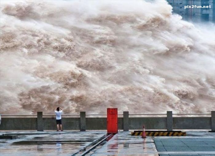 عکس از شکار لحظه ها 