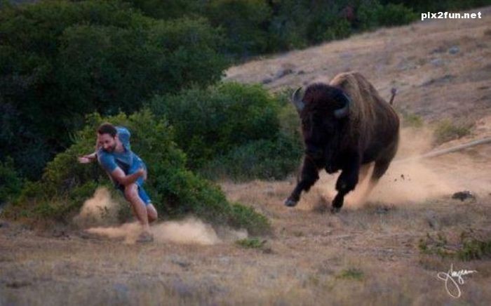 عکس از حوادث خطرناک