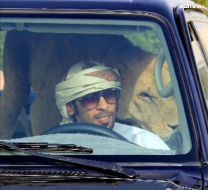 عکس از حوادث خطرناک