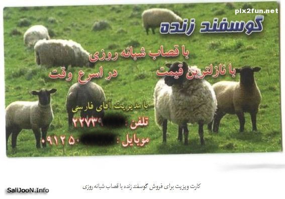 کارت ویزیت های شغل های ایرانی