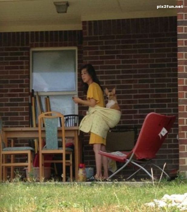 خلاقیت های دیدنی