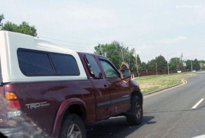 عکس های خنده دار 2013