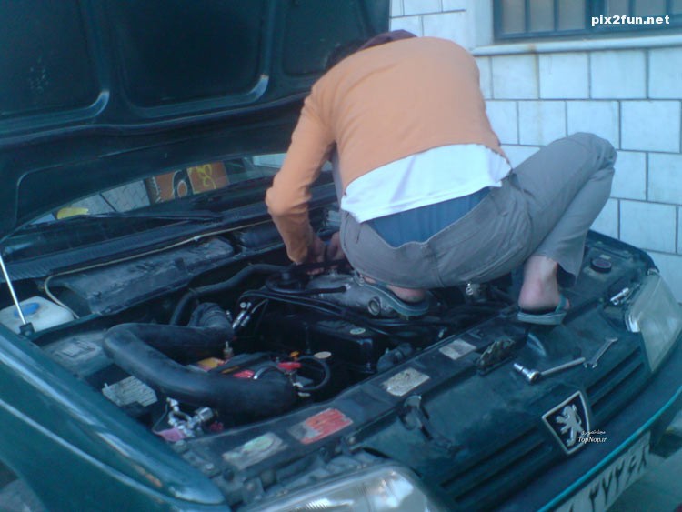 عکس از سوژه های خنده دار وطنی