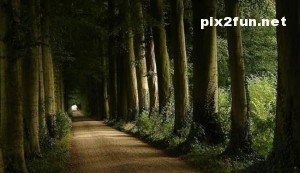 زیباترین جاده های دنیا