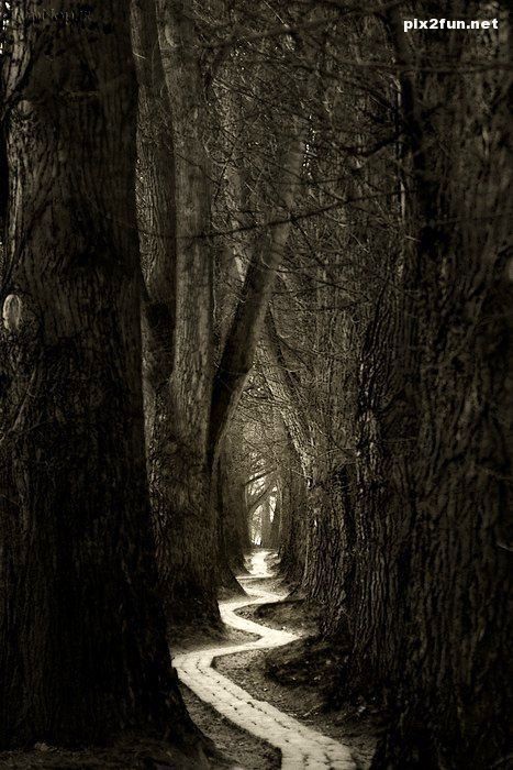 تصاویری از طبیعت واقعی