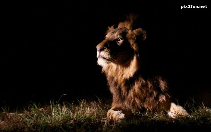 عکس های منتخب از نشنال جئوگرافیک