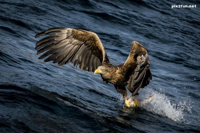 منتخبی از عکس های برتر نشنال جئوگرافیک