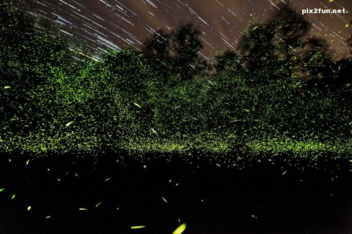 منتخبی از عکس های برتر نشنال جئوگرافیک