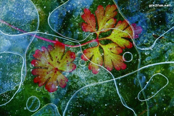 منتخبی از عکس های برتر نشنال جئوگرافیک