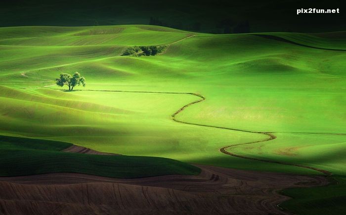 عکس های 2013 نشنال جئوگرافیک