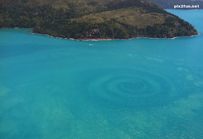 گلچین عکس های نشنال جئوگرافیک